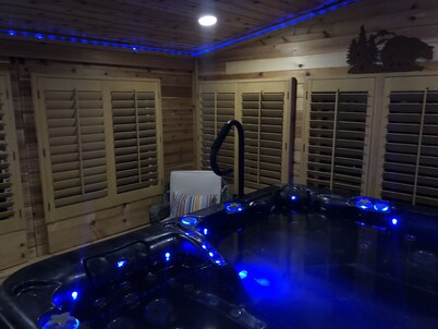 Denver Blue Bear Romantic Spa Getaway: Private 1 BR Apartment with NEW Spa Room