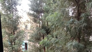 En balkon med gelænder i metal, udsigt over en have med træer og en bygning i baggrunden.