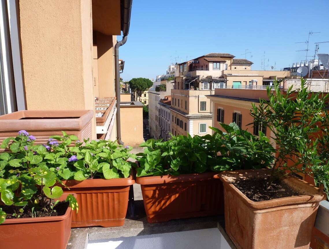 Jardines del alojamiento