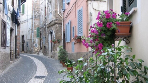 Une ruelle étroite pavée, bordée de bâtiments historiques dotés de balcons et de plantes en pot.