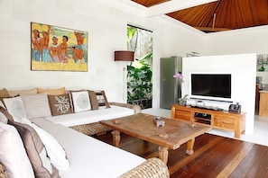 TV, DVD player, books