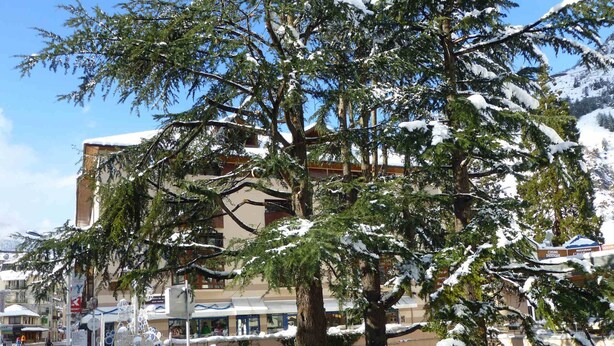 A building with multiple floors, surrounded by snow-covered trees. - Studio 4 Pers, Center Brides-les-Bains, Wifi, Parking (Brides-les-Bains)
