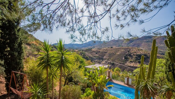 A pool surrounded by lush greenery and cacti, with a mountainous backdrop. - Cubo's Jacaranda Rural Cottage / Private Pool / Views (Guaro)