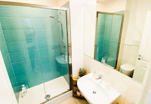 Shower, hair dryer, bidet, towels