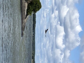 One of our many pristine lakes