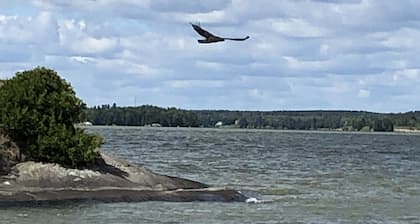 Rustic Canadian Fishing Experience