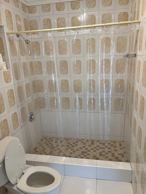 Combined shower/tub, hair dryer, towels, soap