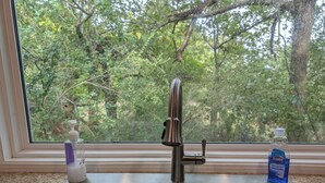 A stainless steel kitchen sink with a modern faucet, a window with a view of trees, and a bottle of Clorox Plus Plus hand soap on the counter.