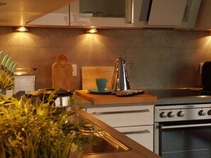 Kühlschrank, Mikrowelle, Ofen, Herdplatte