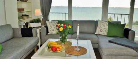 TV, fireplace, DVD player, books