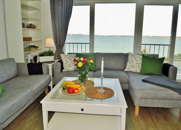 TV, fireplace, DVD player, books