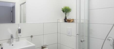 A modern bathroom with a glass-enclosed shower, a white sink, and a toilet.