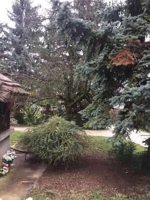 Áreas de la propiedad