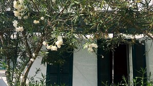 A white building with green shutters, surrounded by lush greenery and flowering trees.