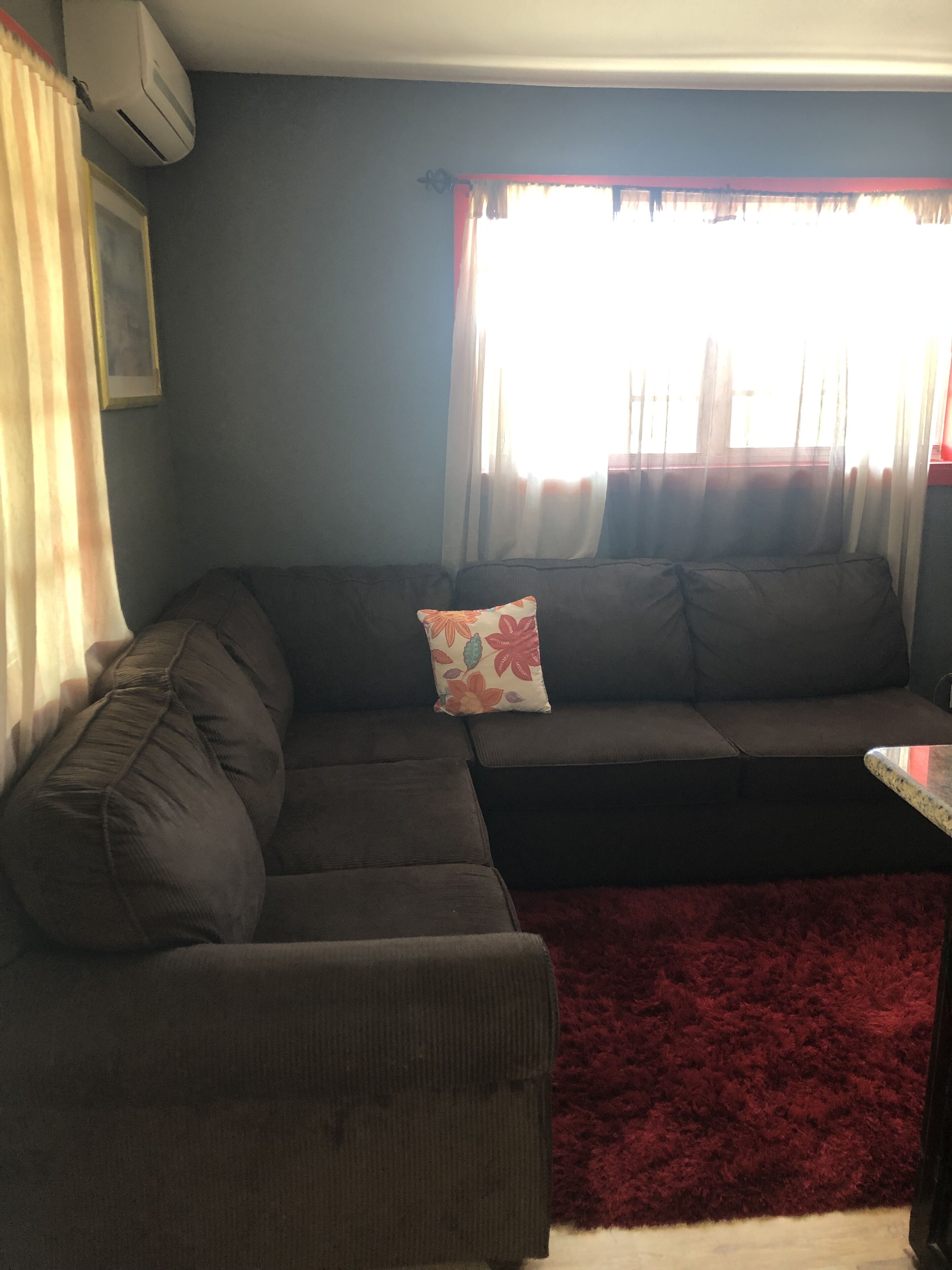 A living room with a dark-colored sofa, a red rug, and a window with sheer curtains.