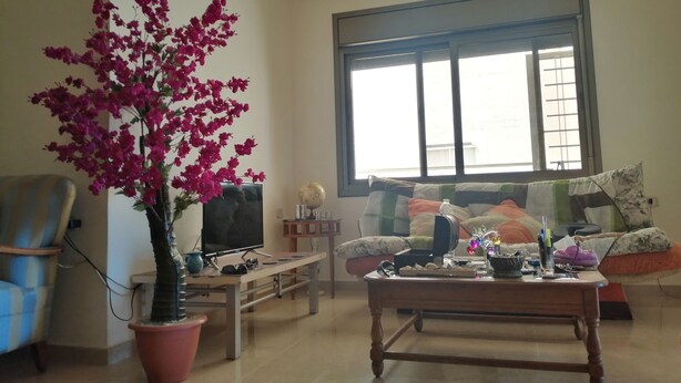 Un salon avec une grande fenêtre, une plante en pot, un canapé et une table basse.