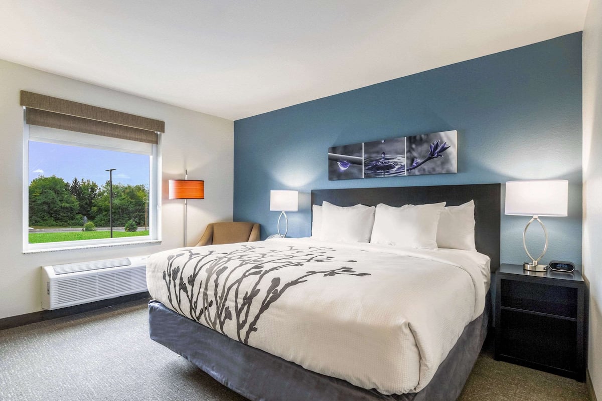 A hotel room with a large bed, two bedside lamps, a window with a view of trees, and a wall-mounted artwork.
