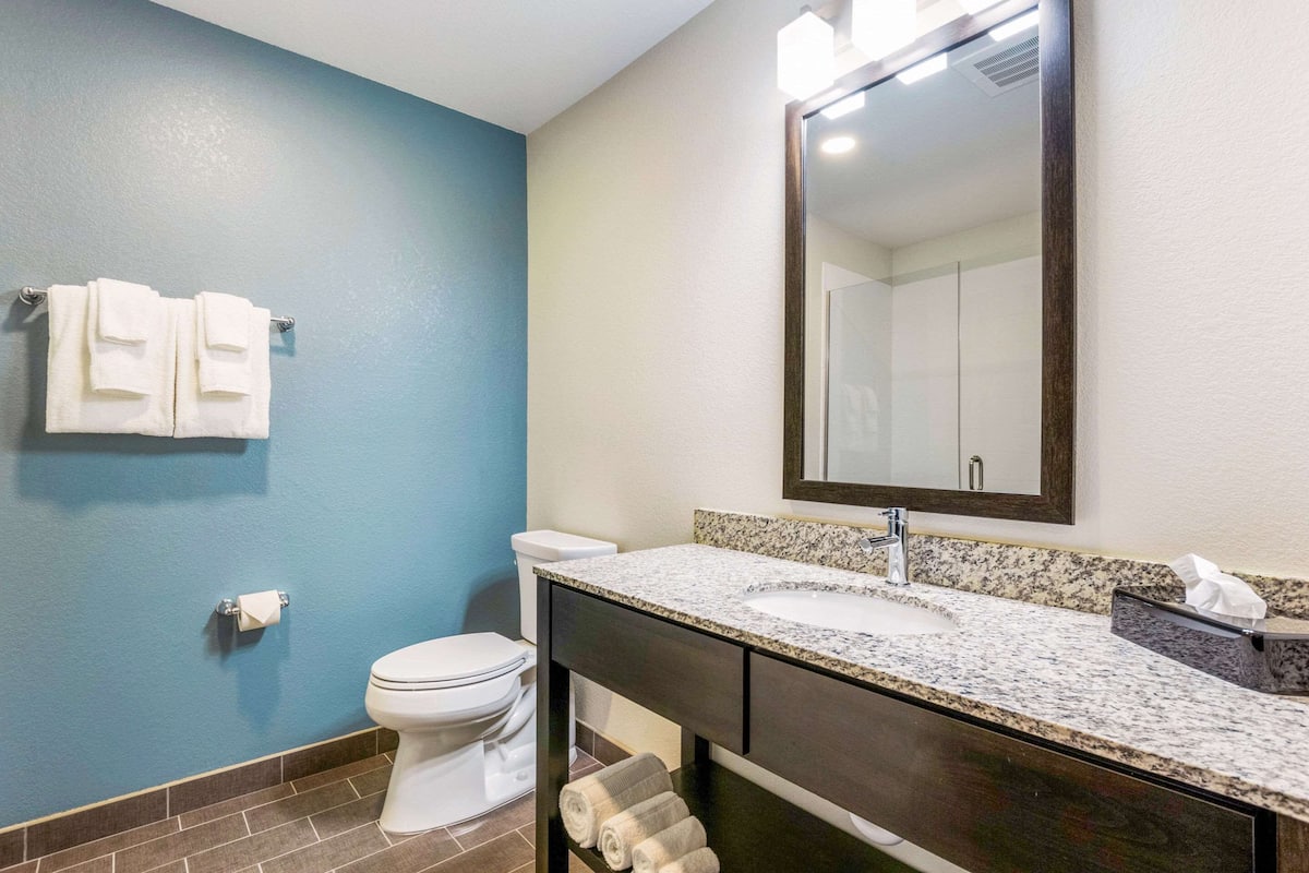 standard room, 1 king bed, non smoking | bathroom | combined shower/bathtub, free toiletries, hair dryer, towels