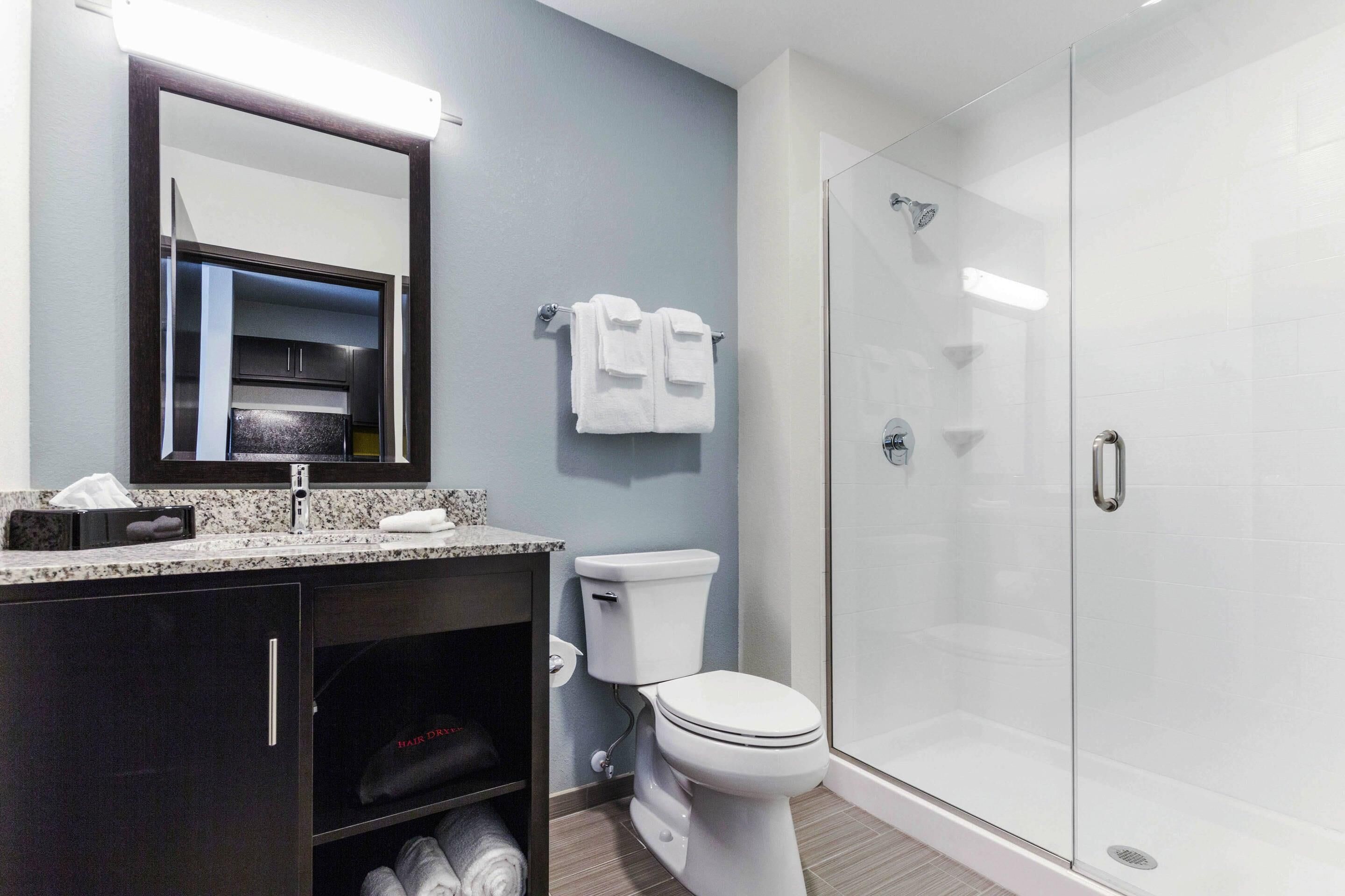 A modern bathroom with a glass shower enclosure, a toilet, and a vanity with a mirror and countertop.