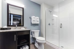A modern bathroom with a glass shower enclosure, a toilet, and a vanity with a mirror and countertop.