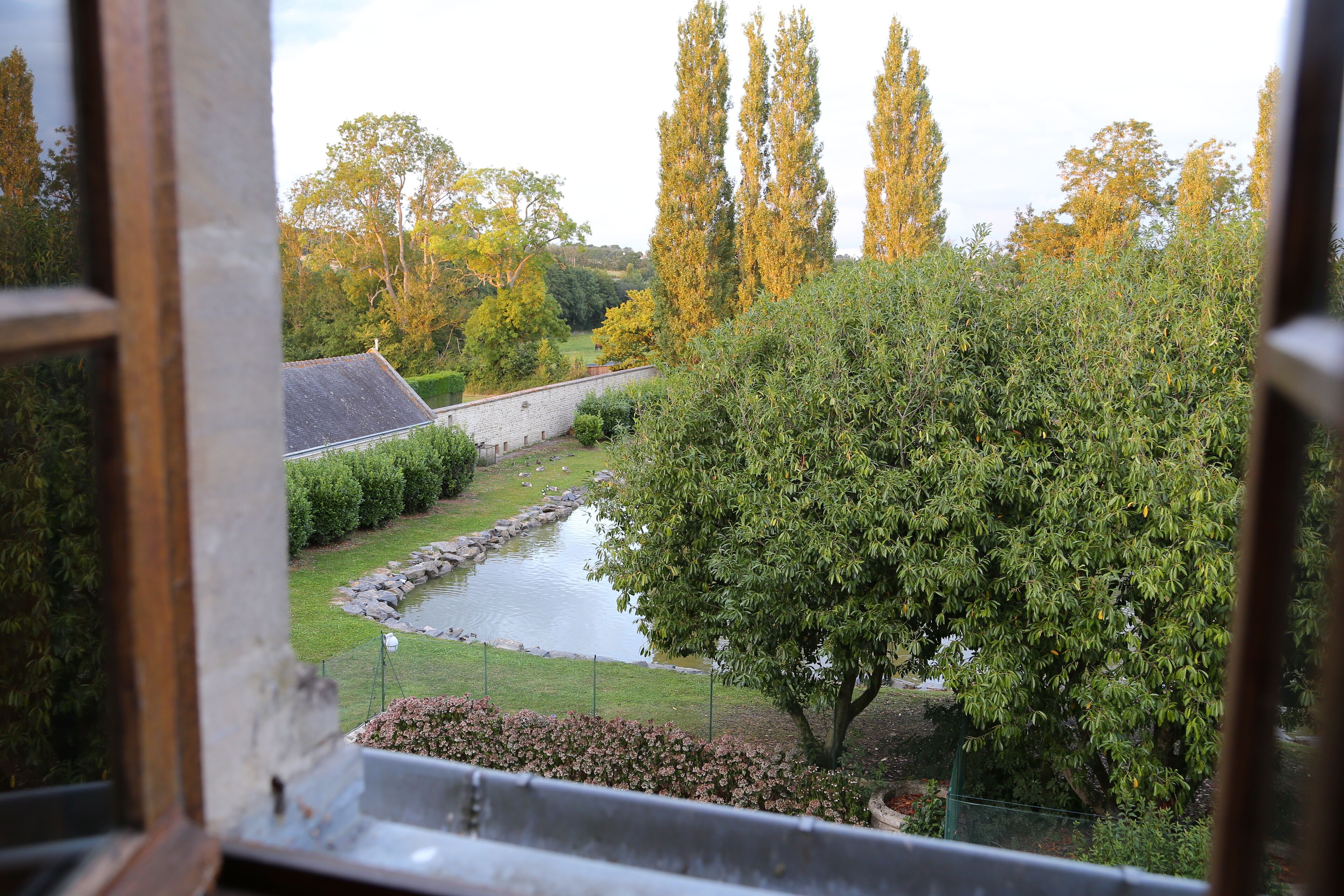 Vista de un jardín con un estanque, árboles y un edificio de techo inclinado.