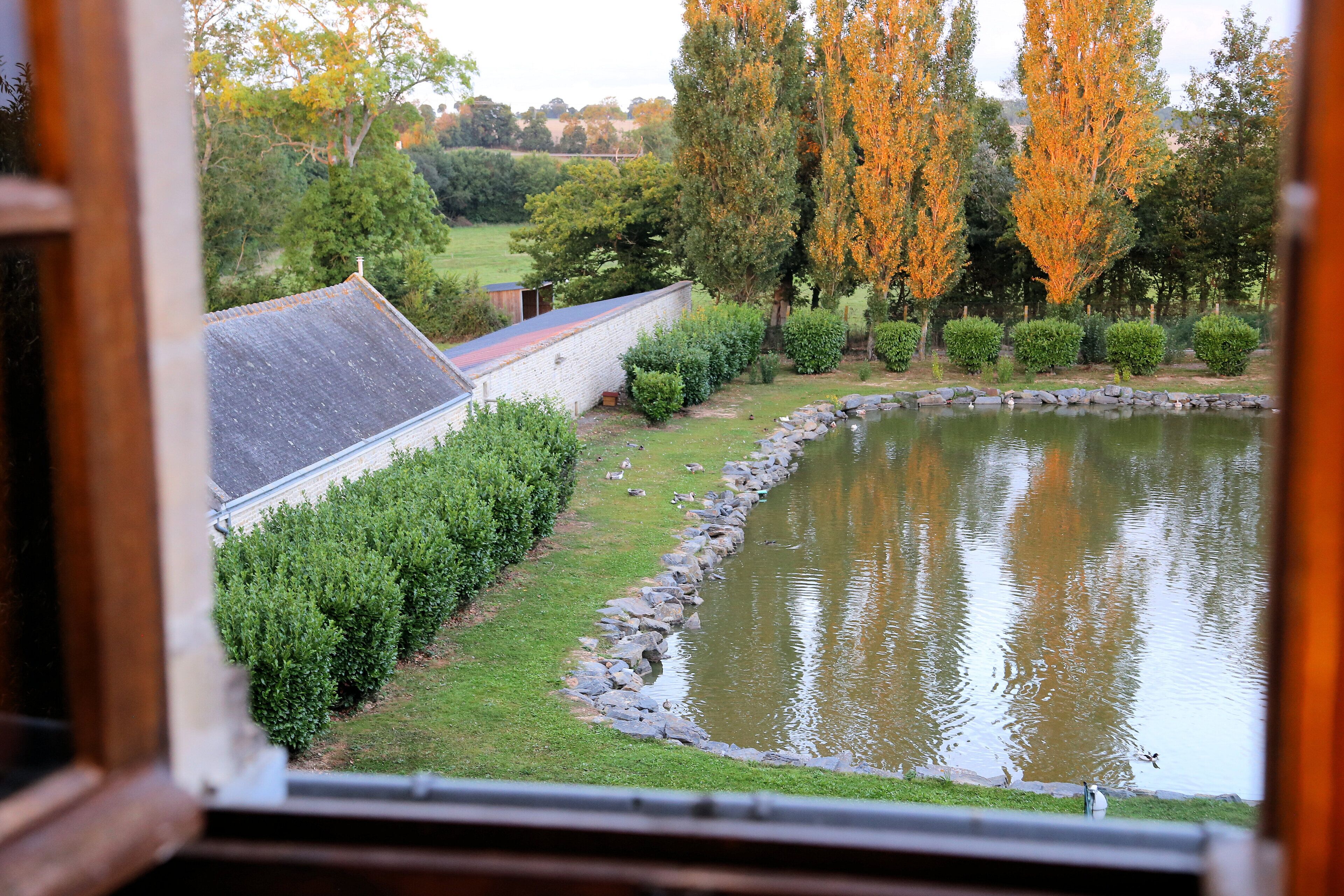 Une vue d’un étang bordé de pierres, entouré de verdure et d’arbres aux feuilles d’automne.