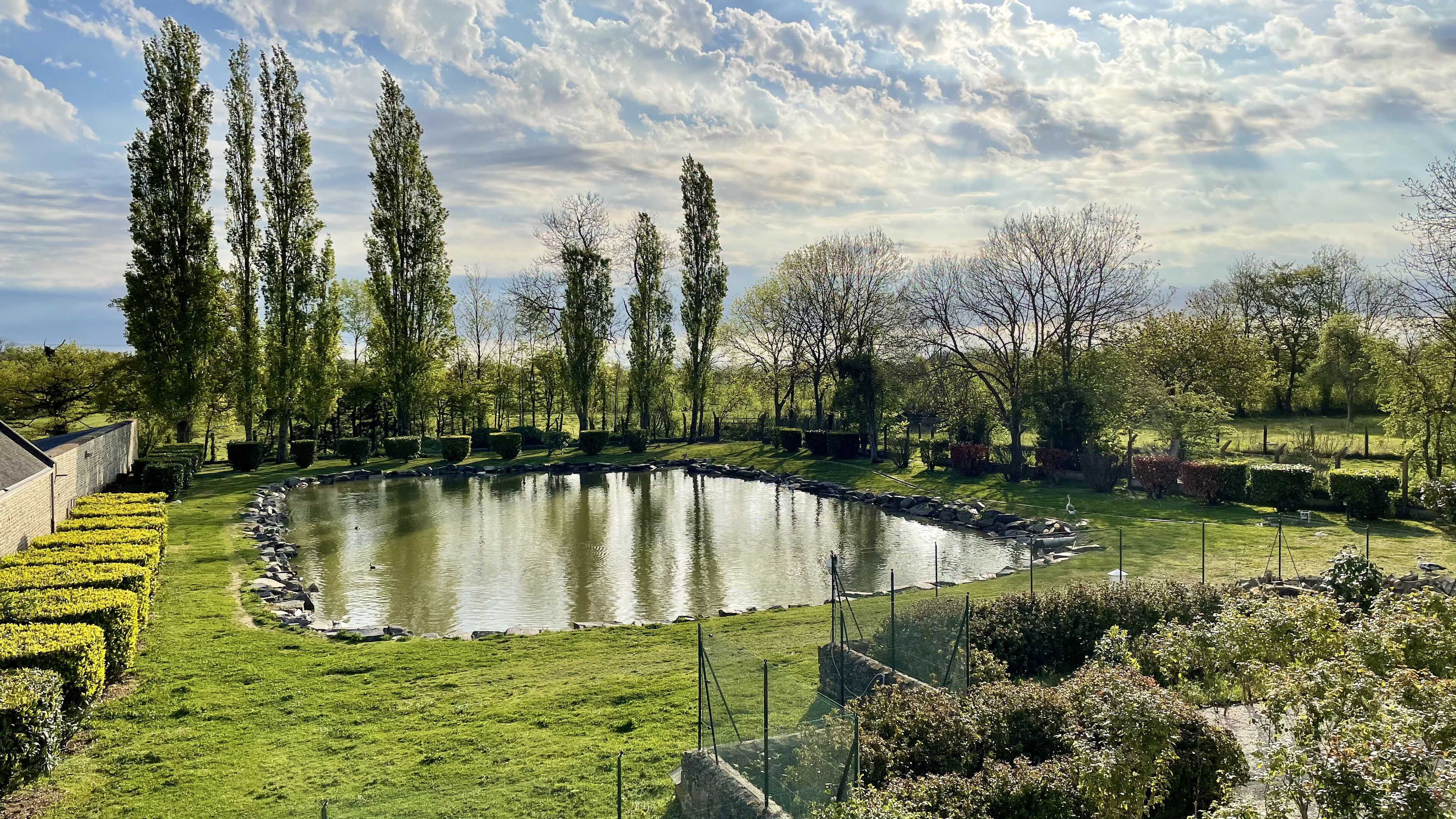 A serene garden with a pond, neatly trimmed hedges, and tall trees.