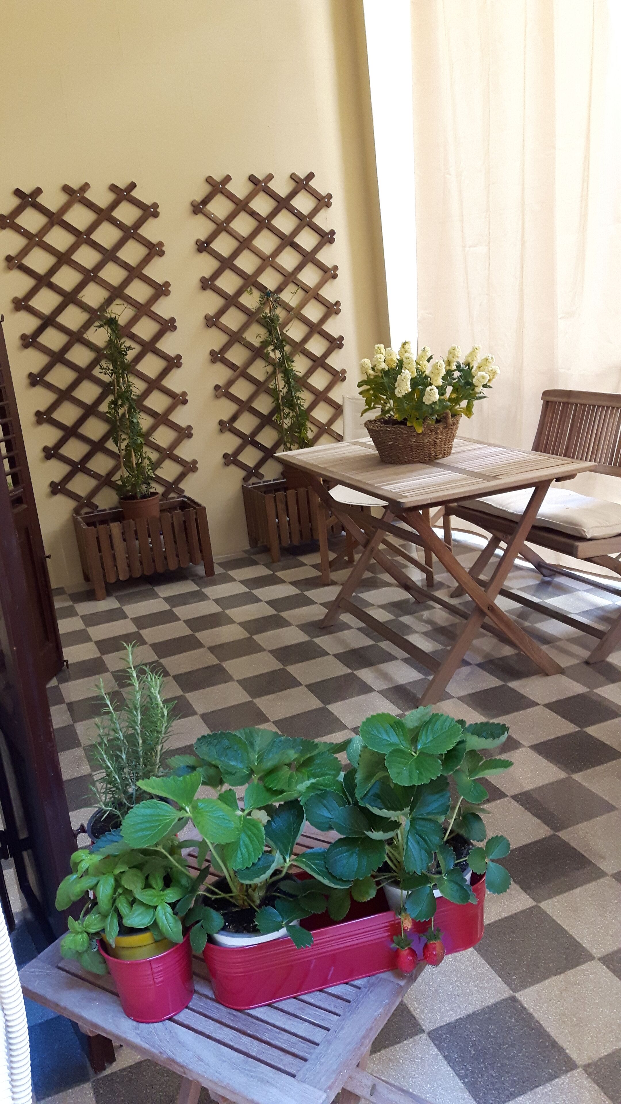 Un piso a cuadros, una mesa de madera con una cesta de flores y plantas en macetas.