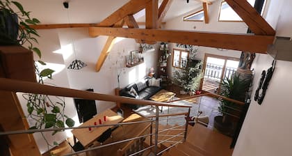 Vue Mont-Blanc, unique, cosy et nature