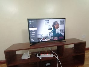 Television