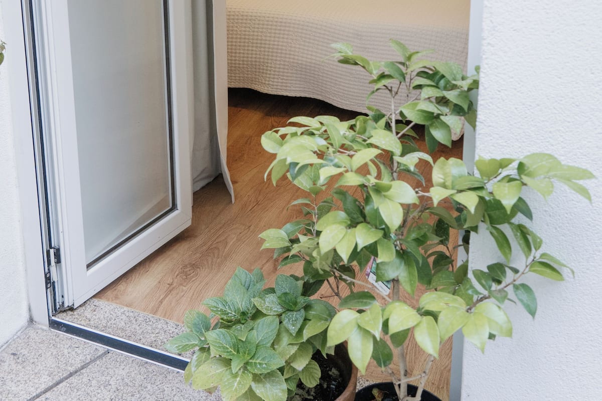 A bedroom with a bed, bedside table, and a potted plant.