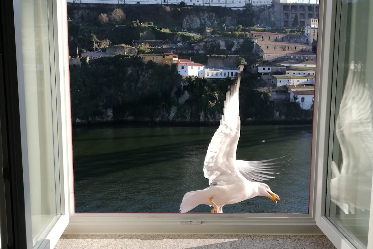 Vista desde la habitación