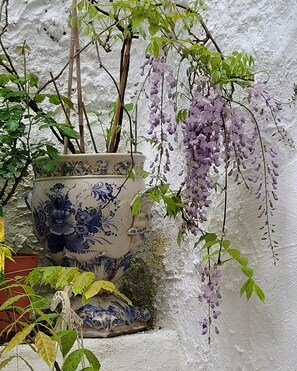 Pared blanca con una planta de flor púrpura colgante y una maceta de cerámica decorada con diseños florales.
