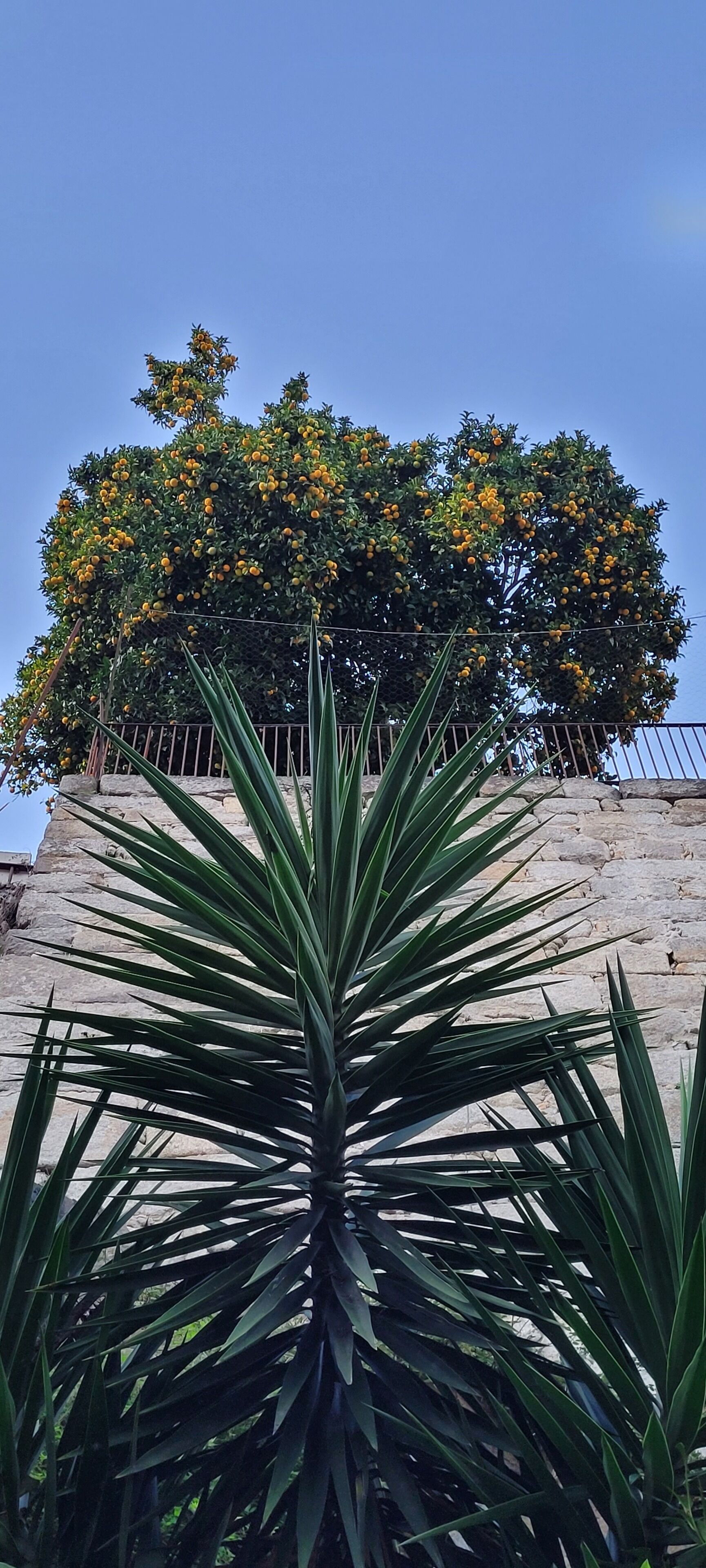 Romantic Apartment, 1 Bedroom | Individually decorated, individually furnished, blackout curtains