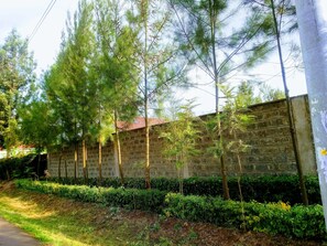 Property grounds - Fully Furnished one bedroom bungalow in Thome, Garden Estate near Windsor Hotel (Nairobi)