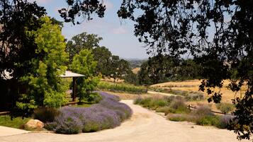 Área da propriedade