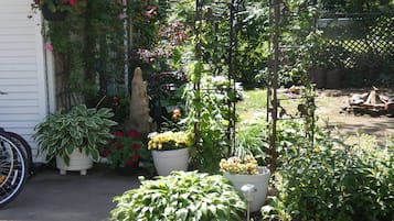 Jardin
