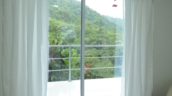 Family Room | Egyptian cotton sheets, premium bedding, down comforters - Hostal Alto De La Montaña (Santa Marta)