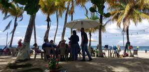 Beach bar - Bayside Inn (Tela)