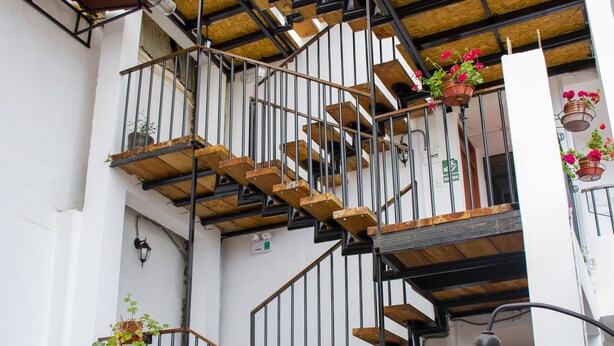 A multi-level wooden staircase with metal railings, surrounded by white walls and potted plants.