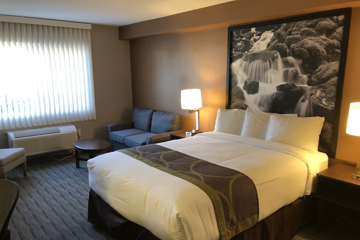 Premium bedding, pillowtop beds, desk, laptop workspace