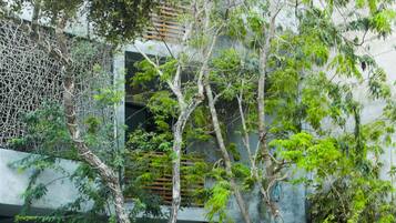 Una piscina al aire libre, tumbonas