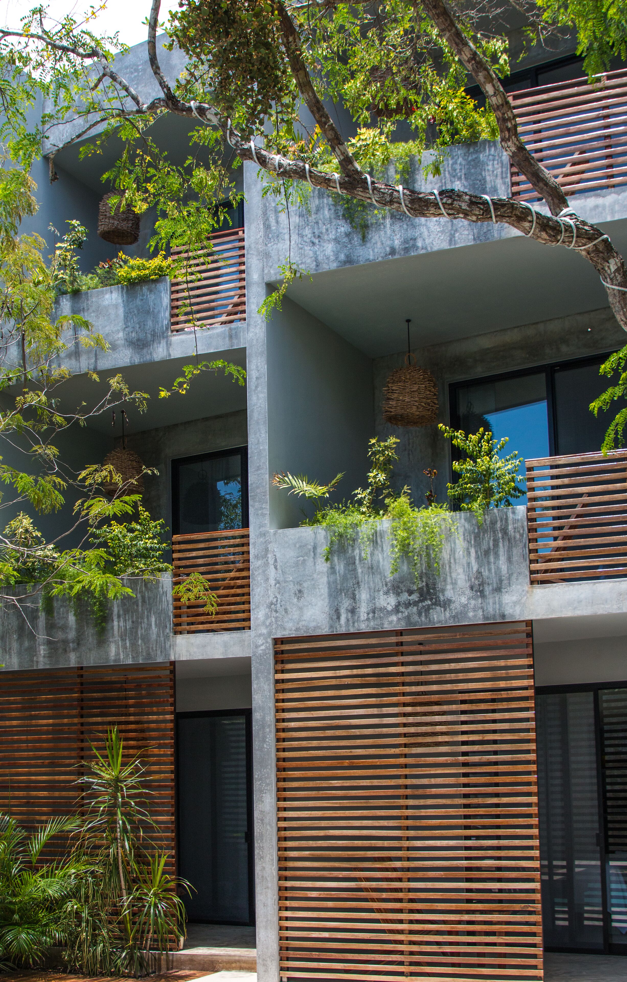 family room | view from room