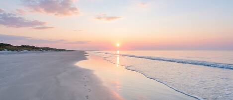 Nära stranden