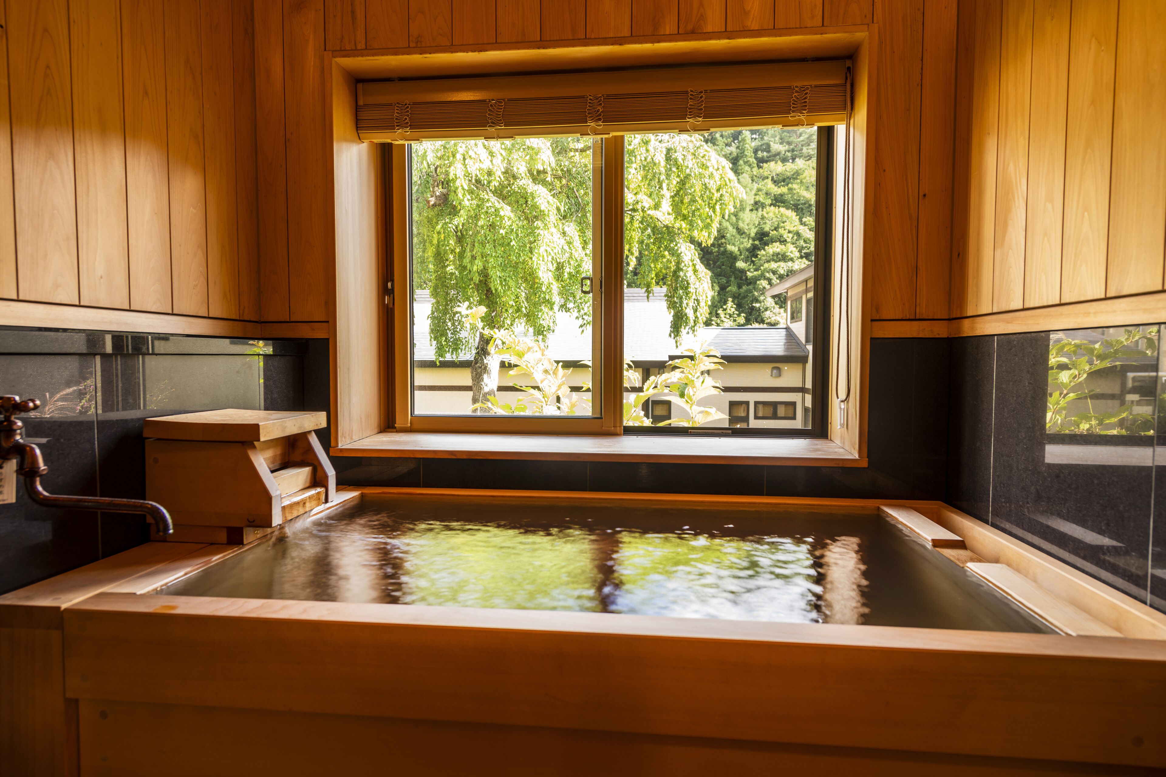 Bathtub, free toiletries, hair dryer, electronic bidet