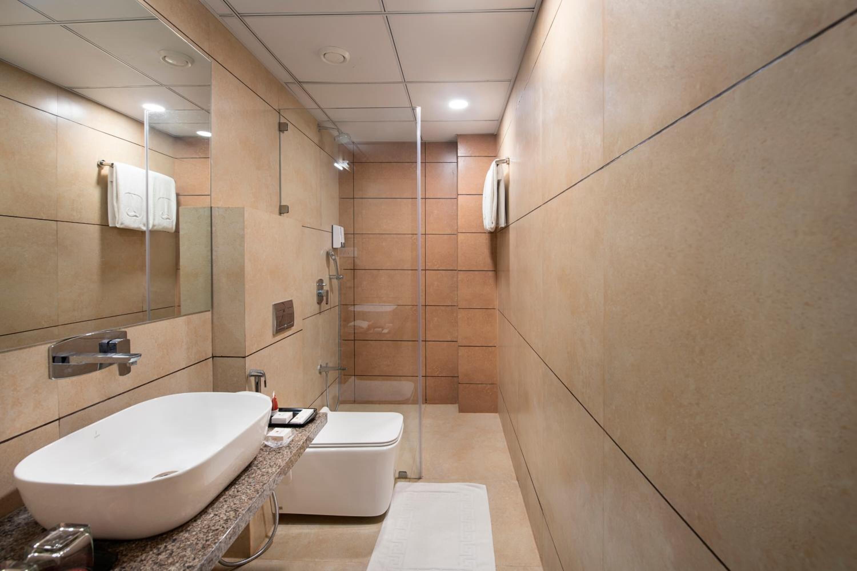 A modern bathroom with a large white sink, a toilet, and a glass shower enclosure.