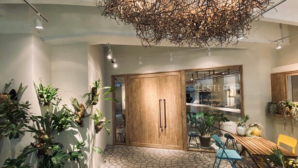 A modern interior with a wooden door, a glass wall with text, and various plants. - Lestel Naha - Hostel (Naha)