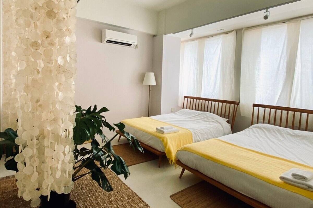 A room with two beds, a hanging light fixture, an air conditioning unit, and a large plant.