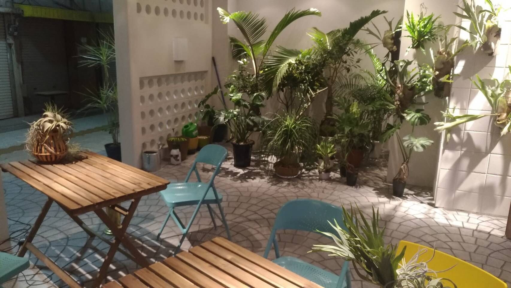 An outdoor patio area with wooden tables and chairs, surrounded by various potted plants.