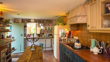 Fridge, oven, stovetop, cookware/dishes/utensils